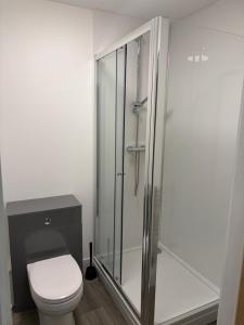 a bathroom with a toilet and a glass shower at 505 Broadway residence in Bradford