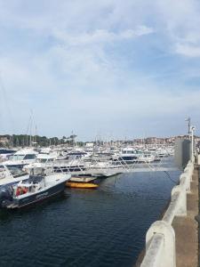 a group of boats docked in a harbor at La charmante Capbretonnaise in Capbreton