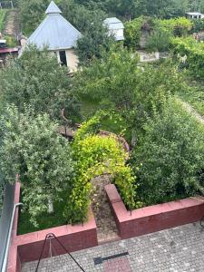 an overhead view of a garden with trees and benches at Оксамитове ретро in Ternopil
