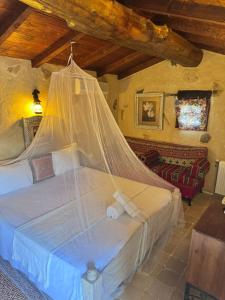 Gallery image of Le Petit Olivier in Douar el Aouachia +36 photos