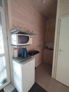 a small kitchen with a microwave and a refrigerator at Rekreační chatka / Tiny House in Františkovy Lázně +6 photos