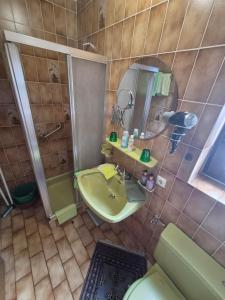 a bathroom with a sink and a shower and a mirror at Appartement Simone Hofherr in Imst +41 photos