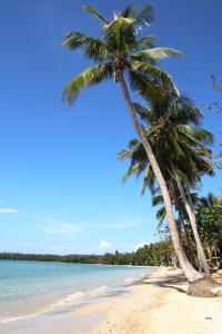 a beach with palm trees and palm trees at Koh Mak Resort in Ko Mak