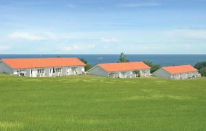 two houses with orange roofs on a green field at Pet Friendly Apartment In Allinge in Allinge