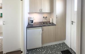 a small kitchen with a sink and a dishwasher at Pet Friendly Apartment In Allinge in Allinge