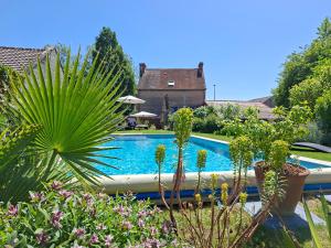 a swimming pool with cacti and plants in a yard at Le Clos de l'Aiguillon in Hérouvillette