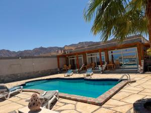 a swimming pool with a palm tree and a house at Bonanza beach camp in Nuweiba