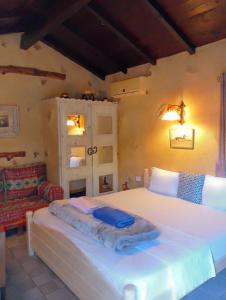 Gallery image of Le Petit Olivier in Douar el Aouachia