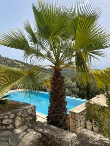 a palm tree in front of a swimming pool at villa amouso in Évyiros