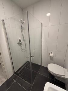 a bathroom with a shower and a toilet at Edi`s Ferienwohnung in Eltmann +9 photos