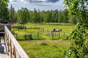 two horses in a field near a fence at Hemgården i Storsätern - Grövelsjöfjällen in Grövelsjön