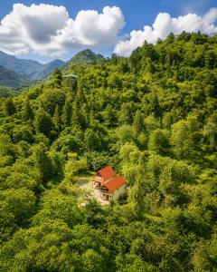 an aerial view of a house in the middle of a forest at Love Corner in Batumi