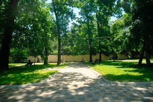 a path in a park with trees and grass at Curtea Domneasca in Vaslui