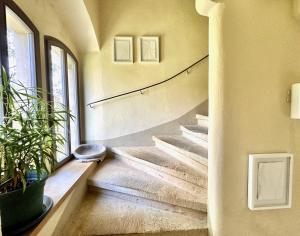 a staircase in a house with a plant in a room at Atelierhaus Meißen in Meißen
