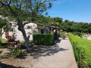 a path to a house with a tree and flowers at LES BALCONS DE LA CHIUSA in Vico