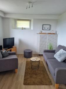 a living room with two couches and a tv at Manderscheid Ferienwohnung mit Weitblick in Manderscheid