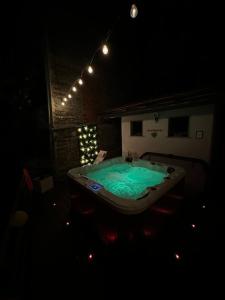 a dark room with a large tub with green water at Casa Jeny in Fenis