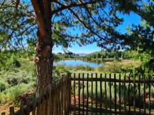 a fence around a tree next to a lake at Ukutula Resort in Dullstroom
