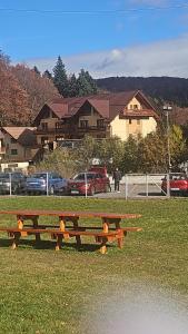 a wooden bench sitting in the grass in a park at Apartament de vacanta Criss in Buşteni