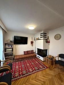 a living room with a couch and a fireplace at Te Pishat in Brezovica