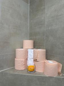 a stack of toilet paper on a shelf in a bathroom at Te Pishat in Brezovica +20 photos