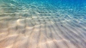 a flock of birds swimming in the water at Aeolos seaside studios in Frangokastello +57 photos