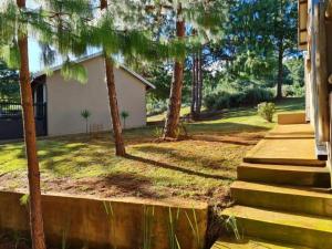 a house with a yard with trees and stairs at Ukutula Resort in Dullstroom +21 photos