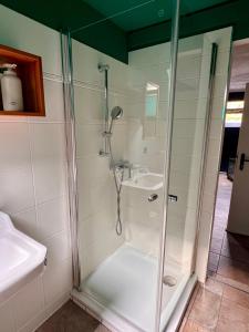 a glass shower in a bathroom with a sink at HOF27 in Groß Eissel +41 photos