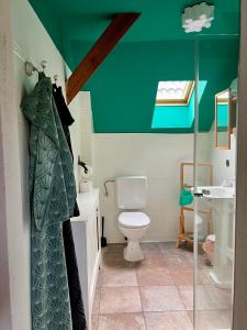 a bathroom with a toilet and a green ceiling at HOF27 in Groß Eissel