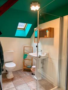 a bathroom with a toilet and a green ceiling at HOF27 in Groß Eissel