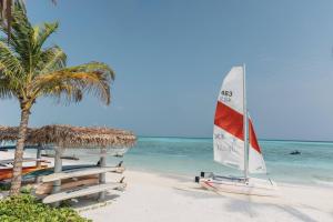 a sail boat on a beach with a palm tree at Meliá Whale Lagoon Maldivas in Fenfushi