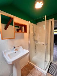 a bathroom with a sink and a shower at HOF27 in Groß Eissel