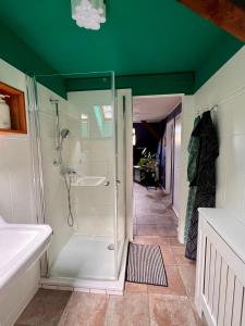a bathroom with a walk in shower and a glass shower stall at HOF27 in Groß Eissel