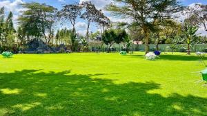 a park with green grass and trees in the background at Lush Garden Hotel in Arusha