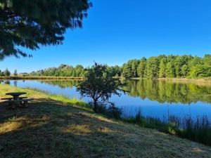 a picnic table sitting next to a lake at Ukutula Resort in Dullstroom