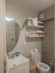 a bathroom with a toilet and a sink and a mirror at Stan na dan Podgorica Mne in Podgorica +12 photos