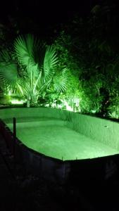 a green park with palm trees at night at Yeshua - Casa da Claudia 8 in Ilha de Guaratiba