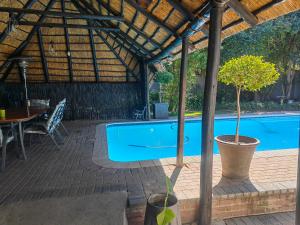 a pool with a table and a potted tree next to it at Feathers Guest House in Welkom