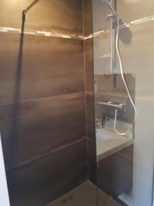 a shower with a glass door in a bathroom at Micro Maison indépendante in Commelle-Vernay +16 photos