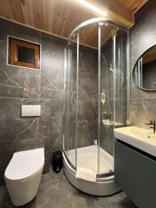 a bathroom with a shower and a toilet and a sink at Stella Alpina in Žabljak +8 photos