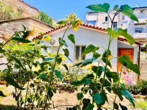 a house with a plant in front of it at Siera Home in Berat