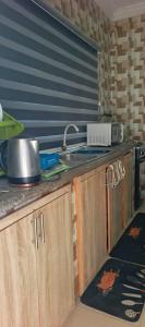 eine Küche mit Spüle und Arbeitsplatte in der Unterkunft Harrington Duplex in Meran