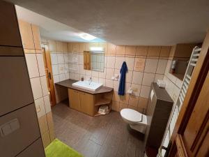 a small bathroom with a toilet and a sink at Chata Pod Kohůtkou in Nový Hrozenkov +69 photos