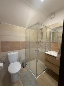 a bathroom with a toilet and a glass shower at Ubytování U Dědečka in Lomnice nad Lužnicí