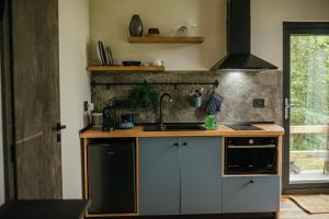 a kitchen with a sink and a stove at RAC by Zodiac Resort in Ceraşul +13 photos