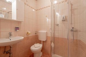 a bathroom with a toilet and a sink and a shower at Pivka Na Meji Resort in Pivka +88 photos