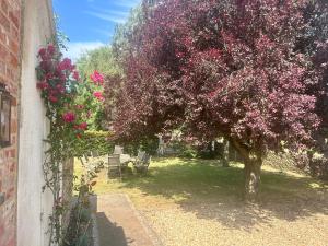 a tree with pink flowers on the side of a building at Astwell Mill Luxury Shepherds Hut in Helmdon