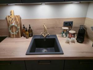 a kitchen counter with a sink and some bottles at Ferienhaus Frida in Kleinich