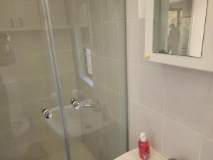 a shower with a glass door next to a toilet at Cowes Cottage in Fish Hoek +19 photos