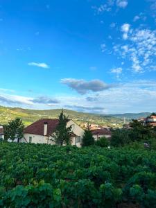 a view of a farm with a field of crops at Casiña Carreiro in Beade